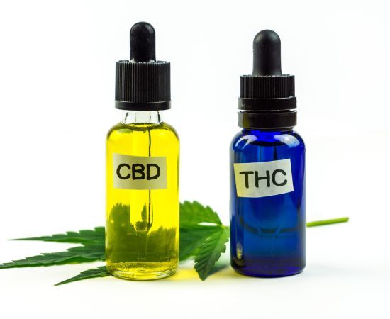 diferencias entre thc y cbd y como actuan en el cuerpo 